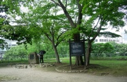 盛岡城内　石川啄木の歌碑